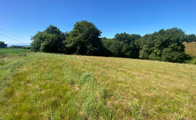 Terrain 2138 m2 1